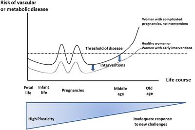 Pregnancy: An Underutilized Window of Opportunity to Improve Long-term Maternal and Infant Health—An Appeal for Continuous Family Care and Interdisciplinary Communication